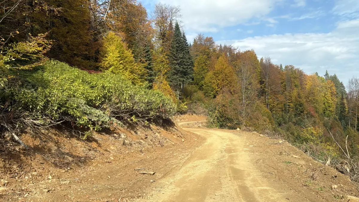 Sonbahar Yaylaları: Bartın\'da Muhteşem Manzaralar