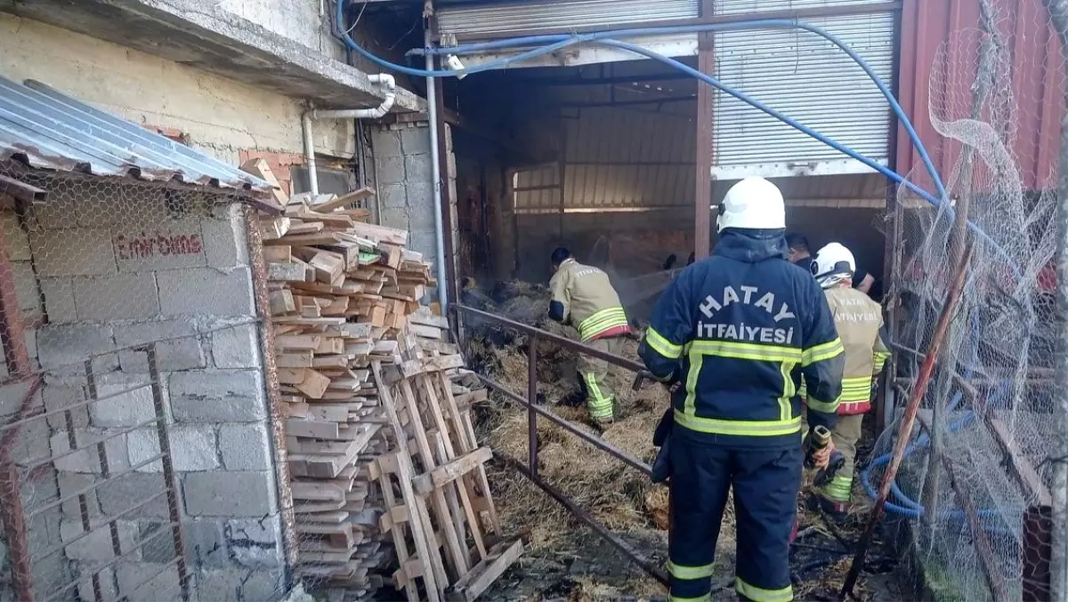 Hatay\'da Samanlık Yangını Kontrol Altına Alındı