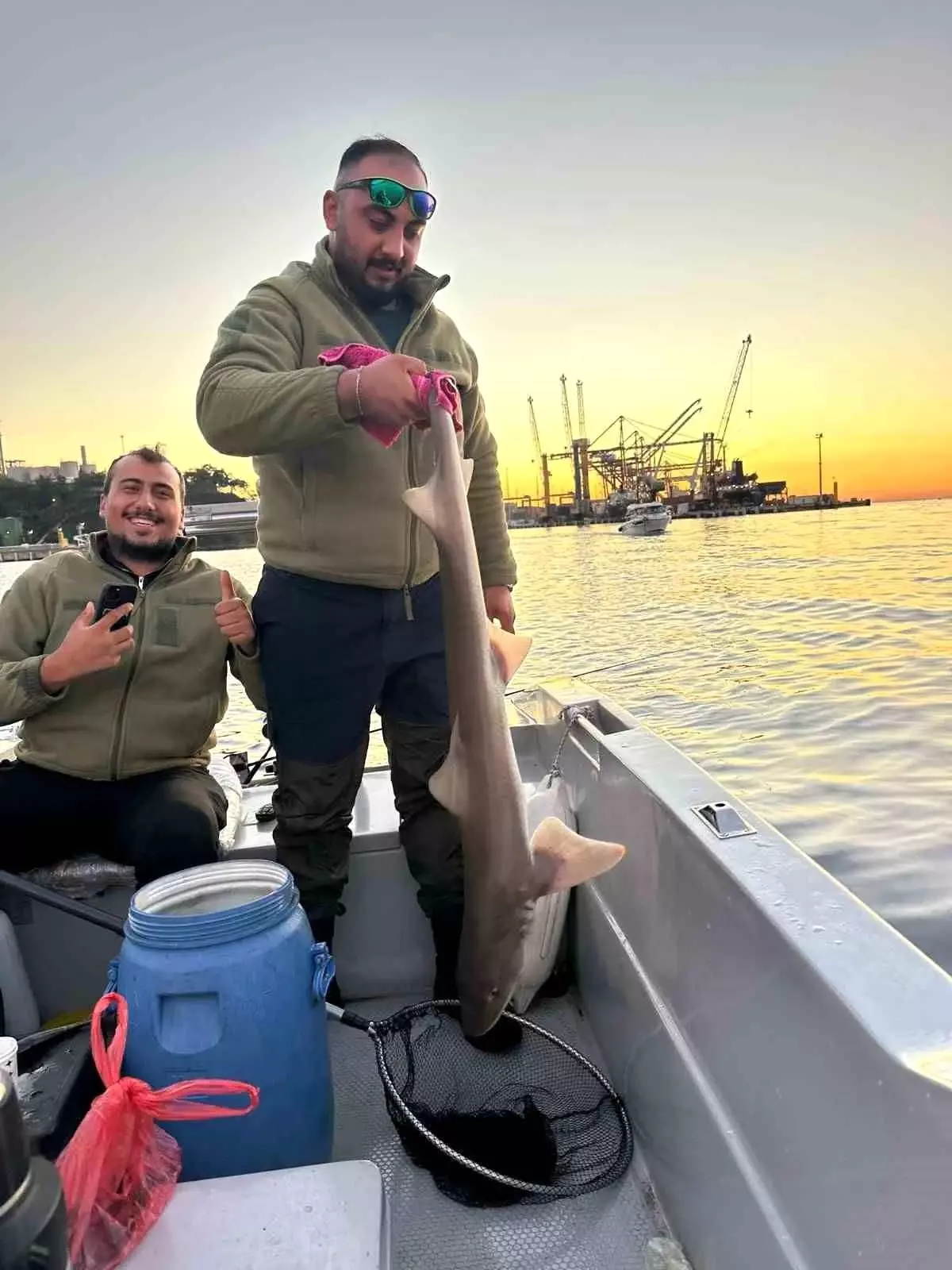 Gemlik’te Balıkçılara Köpek Balığı Takıldı