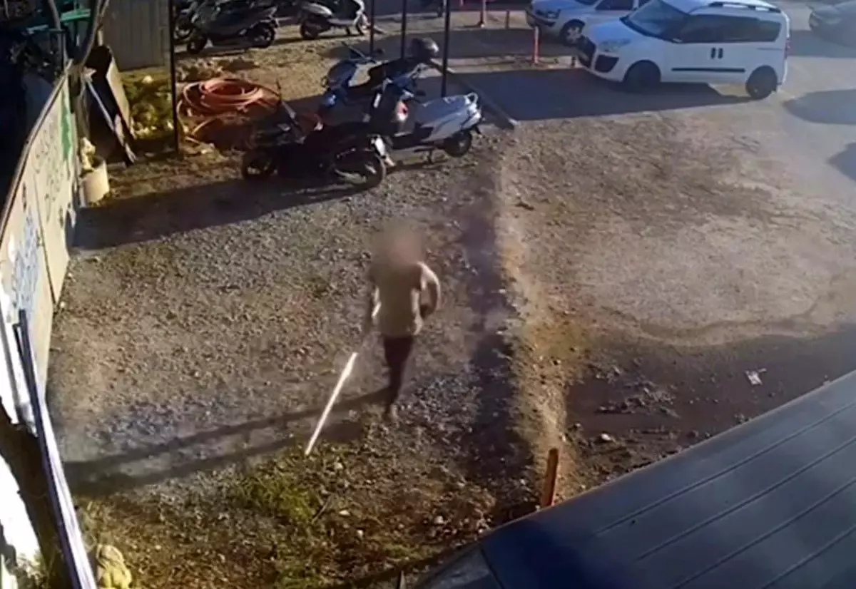 Didim\'de Güvenlik Kamerasına Zarar Verildi