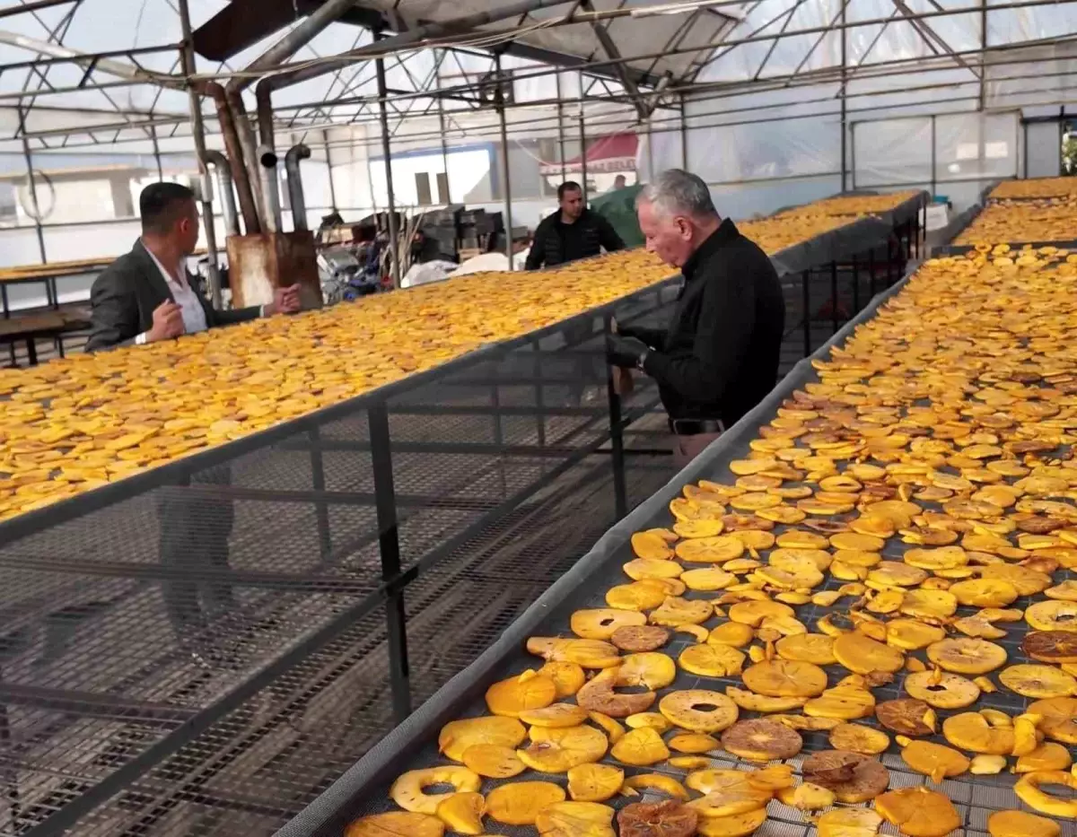 Honaz Belediyesi\'nden Yenilikçi Cennet Hurması Cipsi Projesi