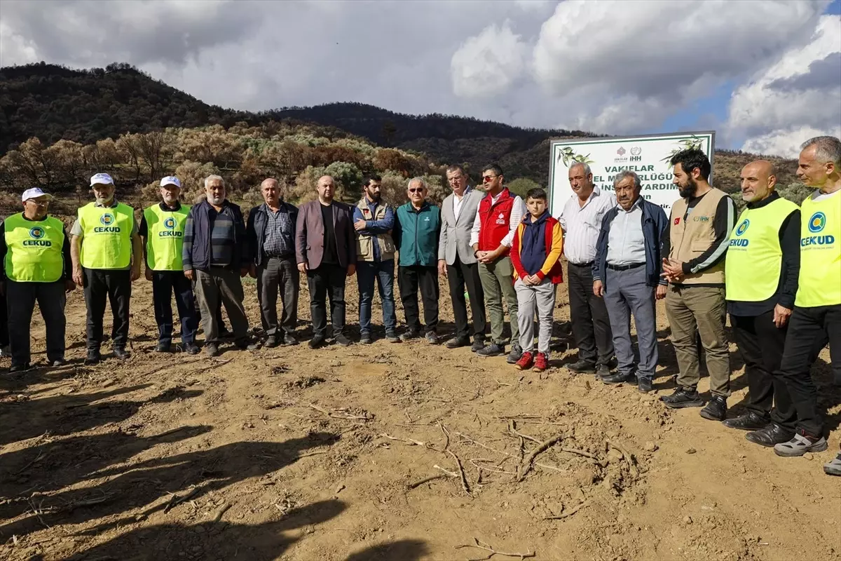 İHH\'dan Çiftçilere Zeytin Fidanı Desteği