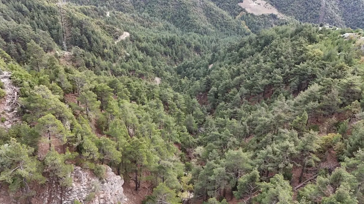 Kahramanmaraş\'ta Kaybolan Genç Bulundu