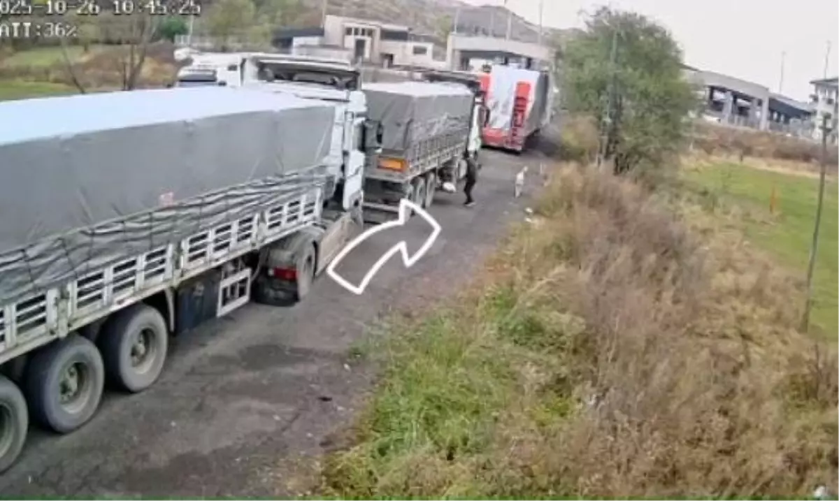 Posof\'ta Çöp Atanlara Ceza