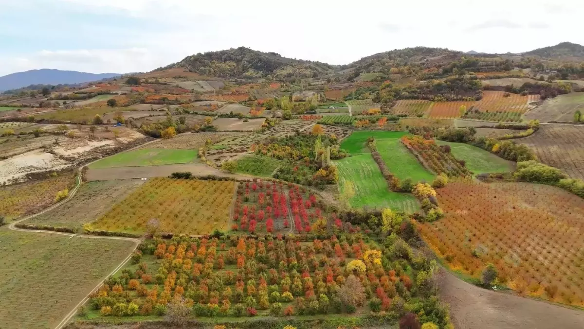 İnegöl\'de Sonbahar Renkleri