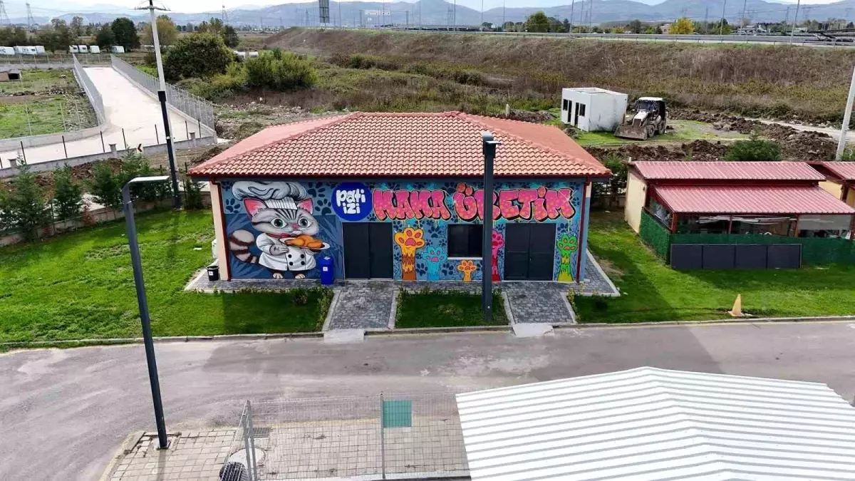 Sakarya\'da Sokak Hayvanları İçin Mama Üretim Tesisi Açıldı