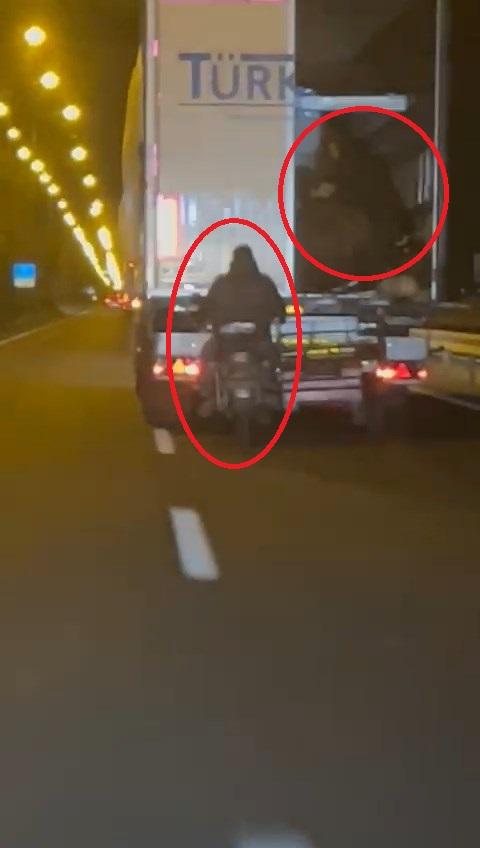 Hareket halindeki TIR'dan koyun çaldılar