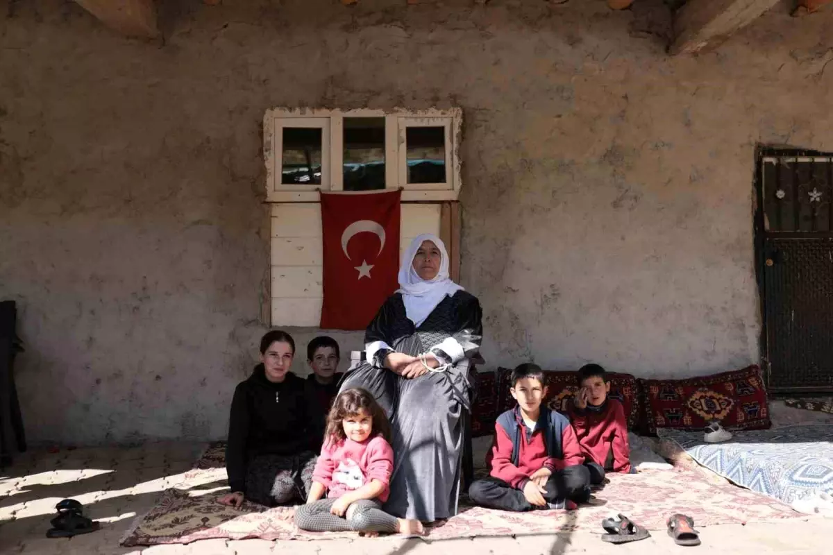 Hizan\'ın Taş Evleri Yeniden Canlanıyor