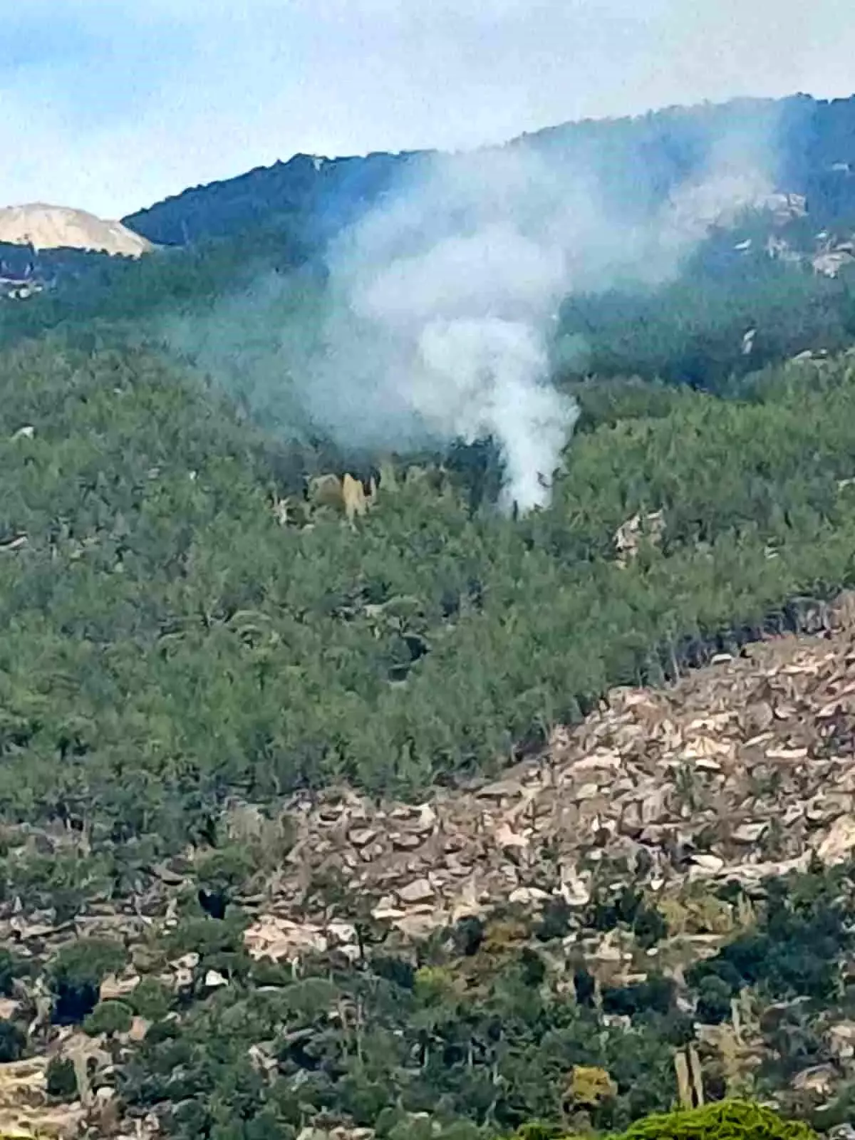 Muğla\'da Orman Yangını Kontrol Altına Alındı