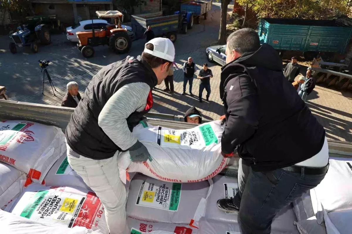 Konya\'da Sertifikalı Mercimek Tohumu Dağıtımı Başladı