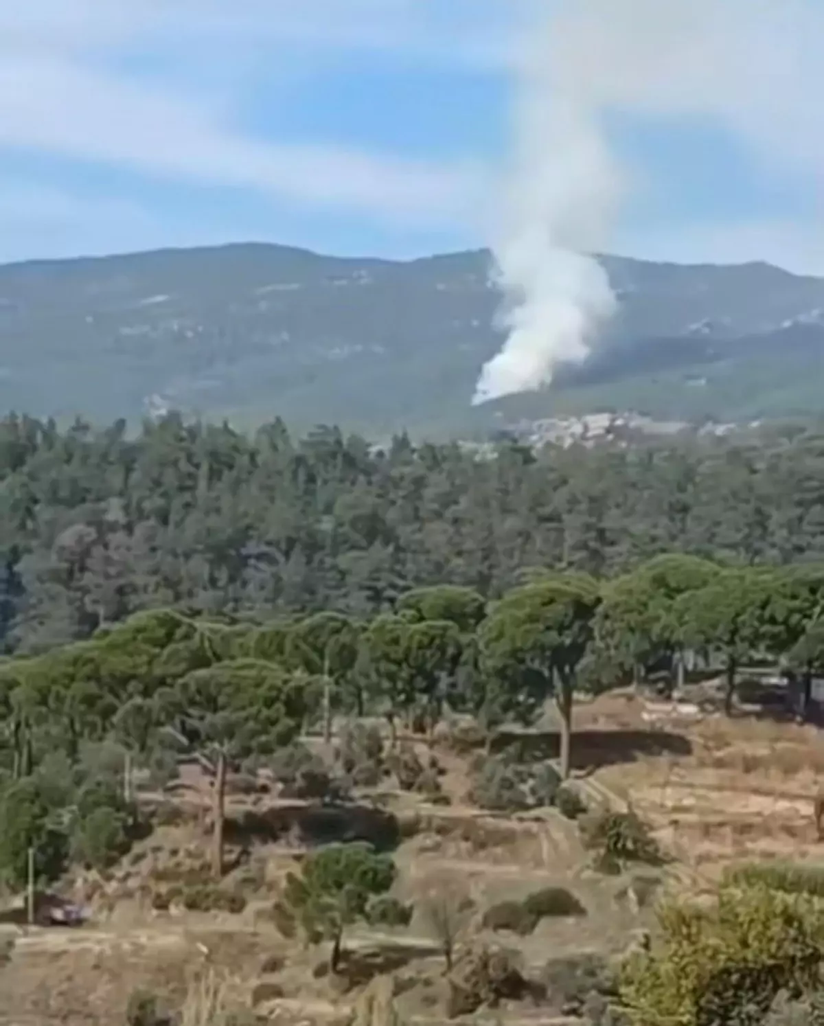 Muğla\'da Orman Yangını: 1 Hektar Zarar