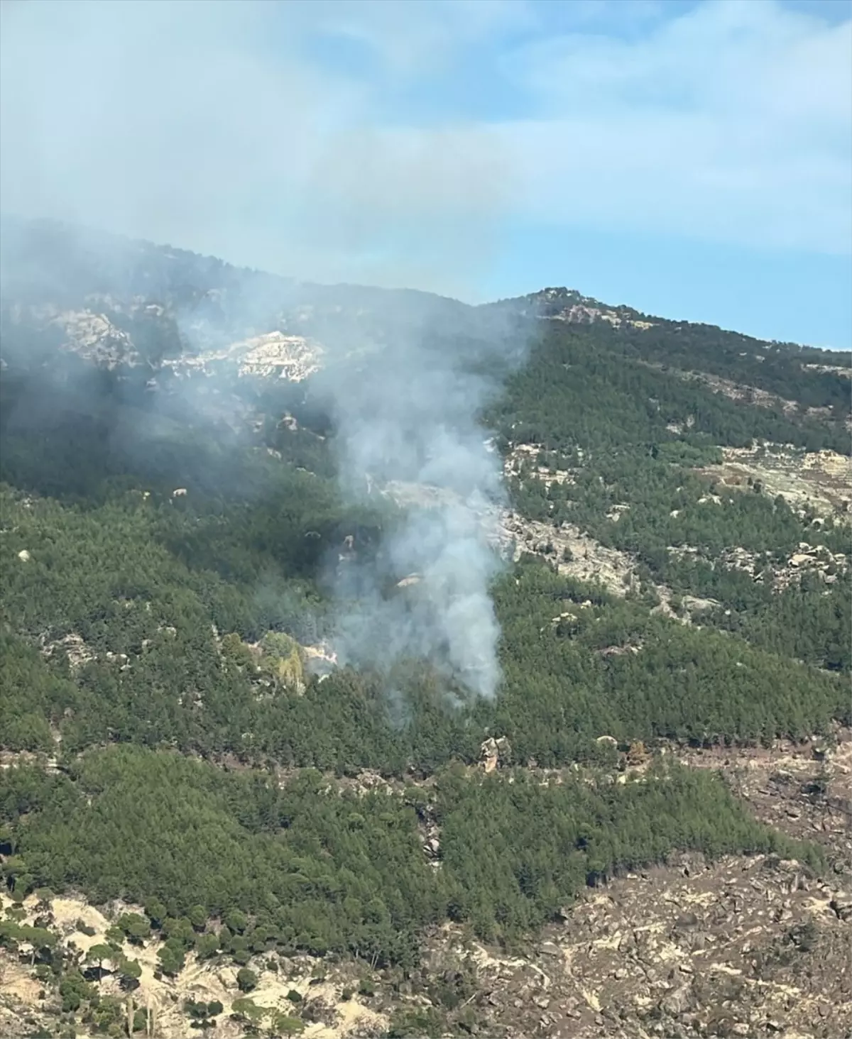 Kavaklıdere\'de Orman Yangını