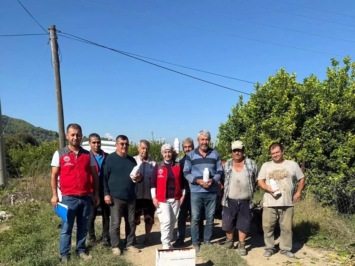 Ortaca\'da Narenciye Zararlılarıyla Mücadele