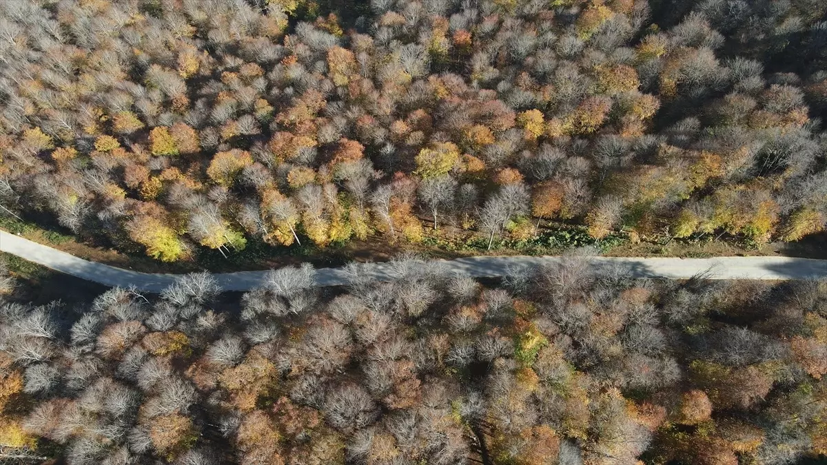 Nebiyan Dağı\'nda Sonbahar Renkleri