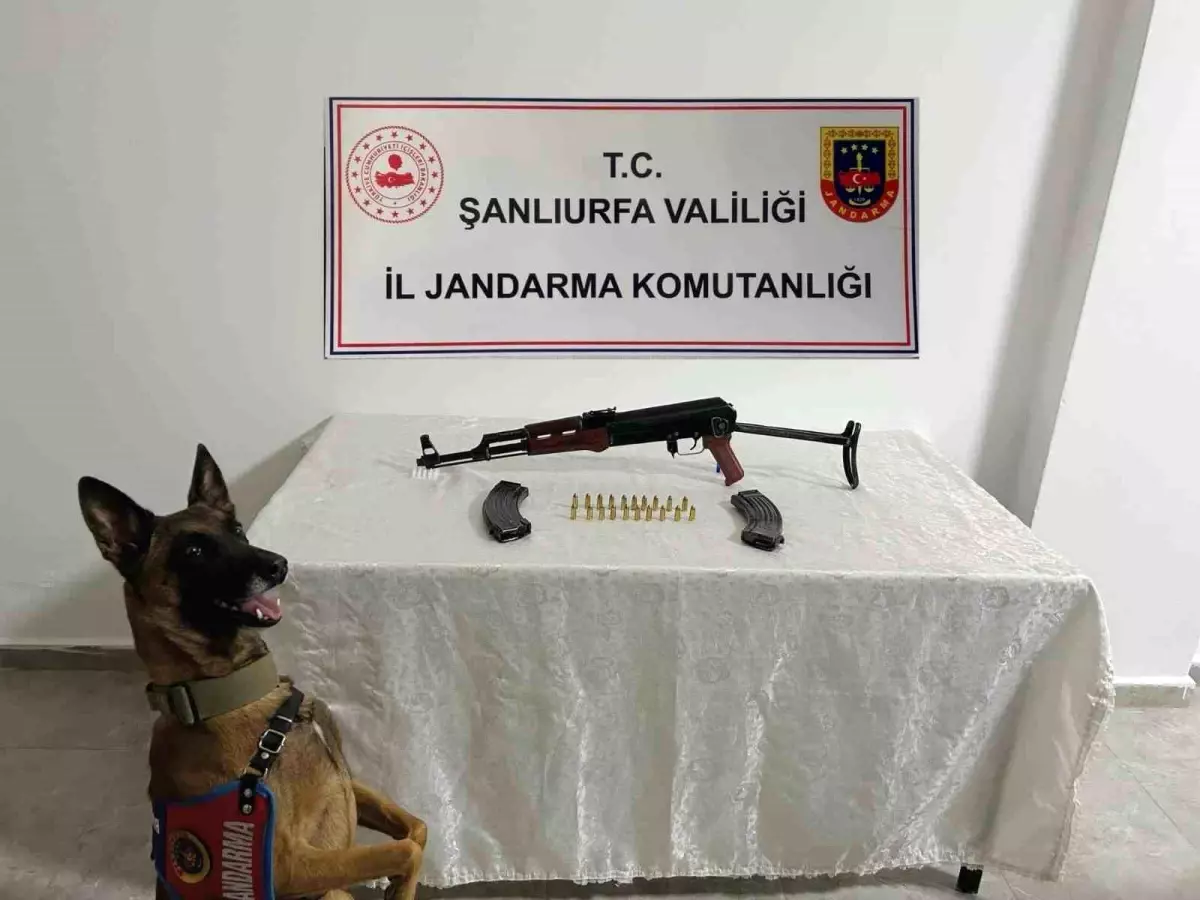 Şanlıurfa\'da Silah Operasyonu