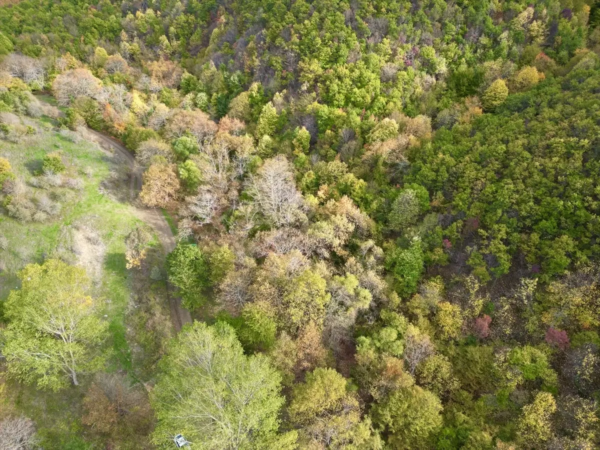 Tekirdağ\'da Sonbahar Güzellikleri