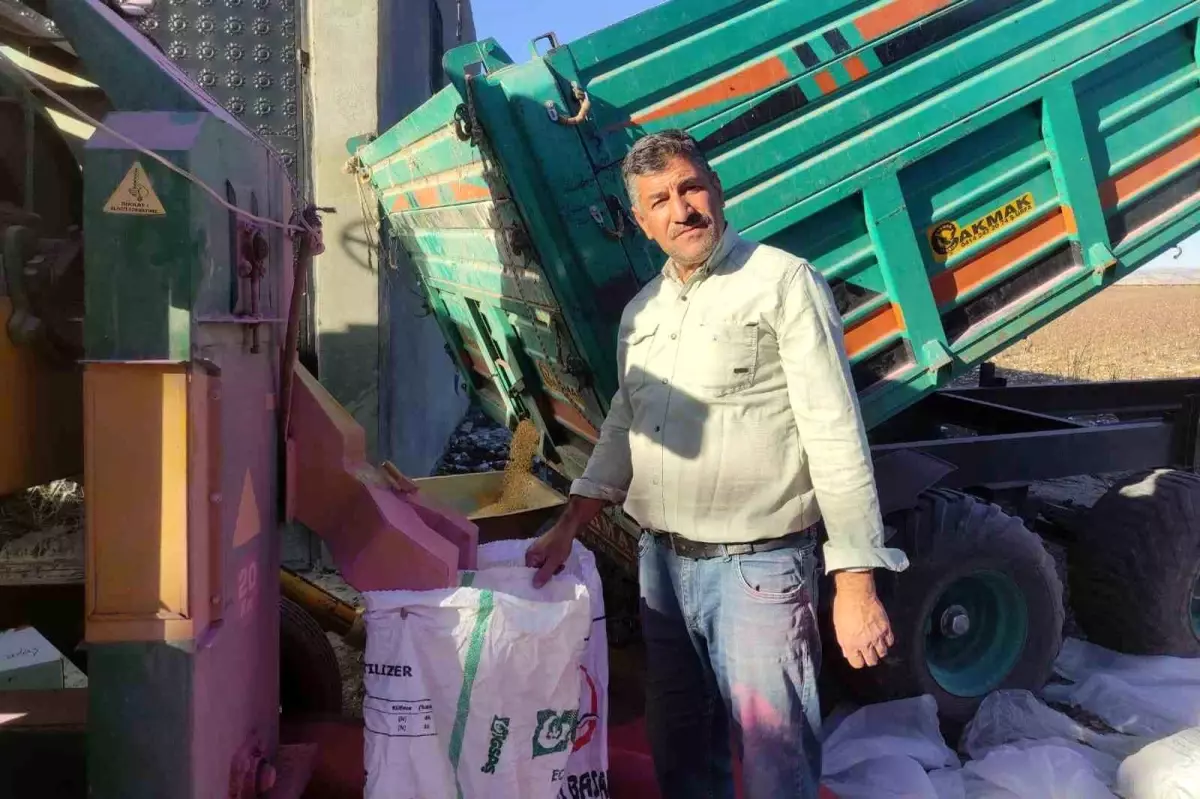 Araban\'da Tohum Hazırlığı Tamamlandı