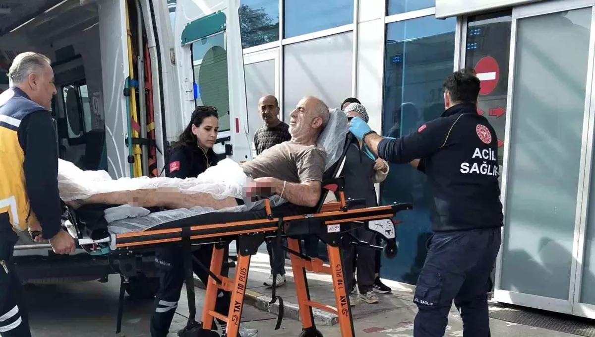 Bafra\'da Çeltik Hasadı Tartışması Silahlı Kavgaya Dönüştü