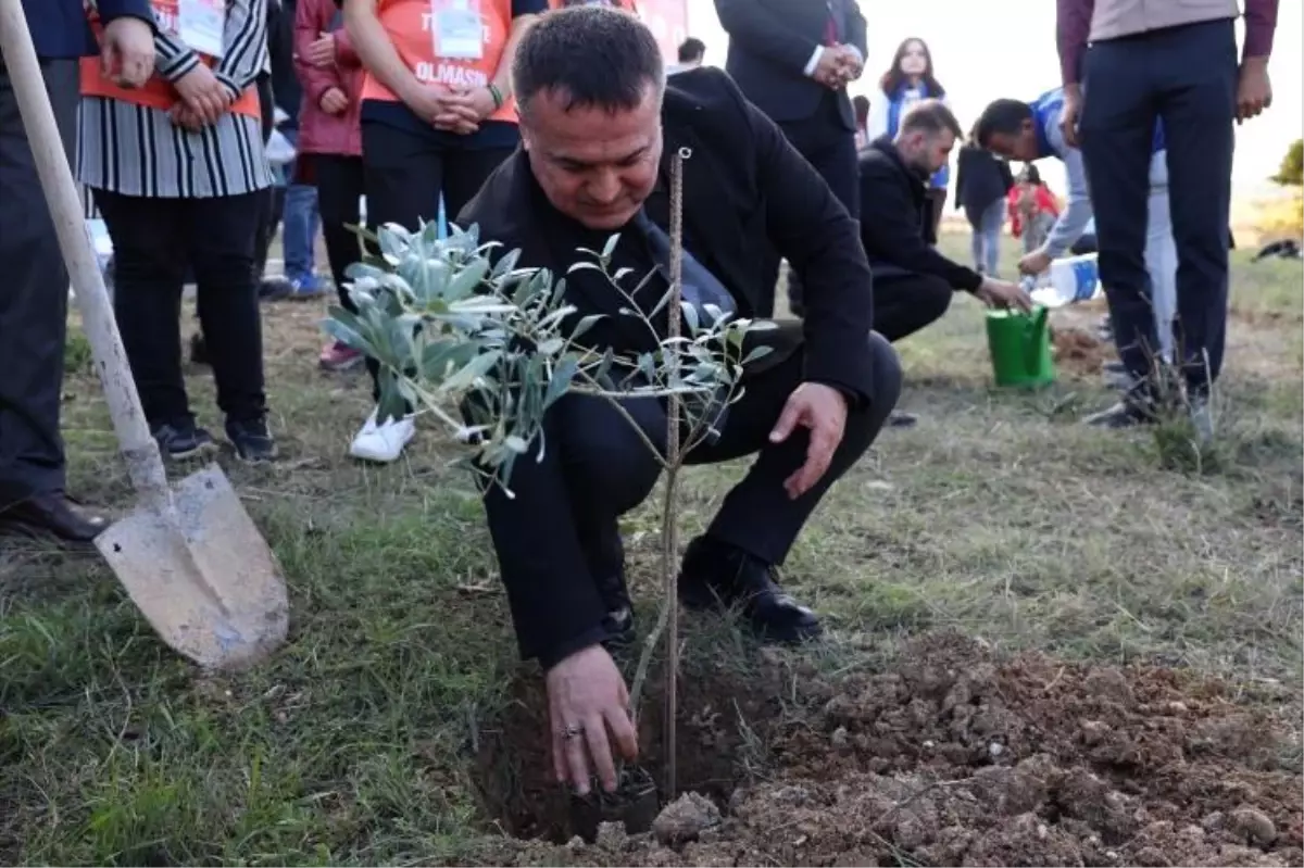 BŞEÜ\'de Zeytin Fidanı Dikim Etkinliği