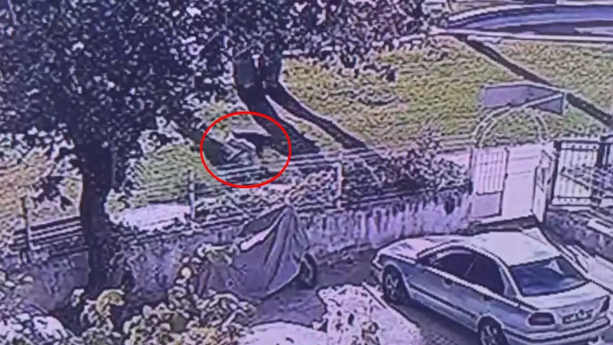 "Beni takip ediyor sandım" dedi, masum yürüyüşçüyü bıçakladı