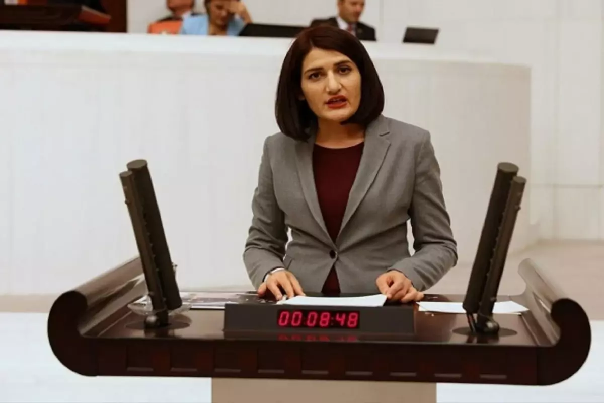 Eski HDP milletvekili Semra Güzel\'e 8 yıl 9 ay hapis cezası