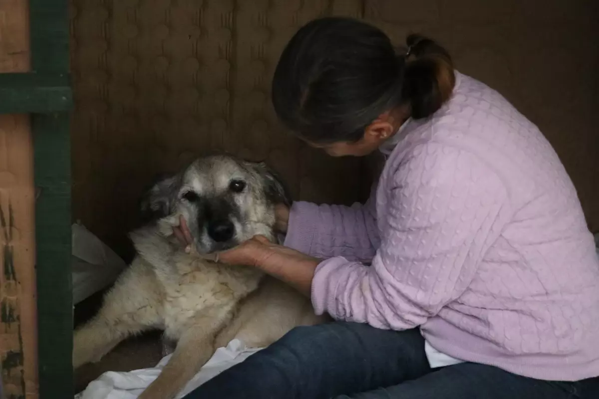 Mazbut ve İncir\'in Sıcak Arkadaşlığı