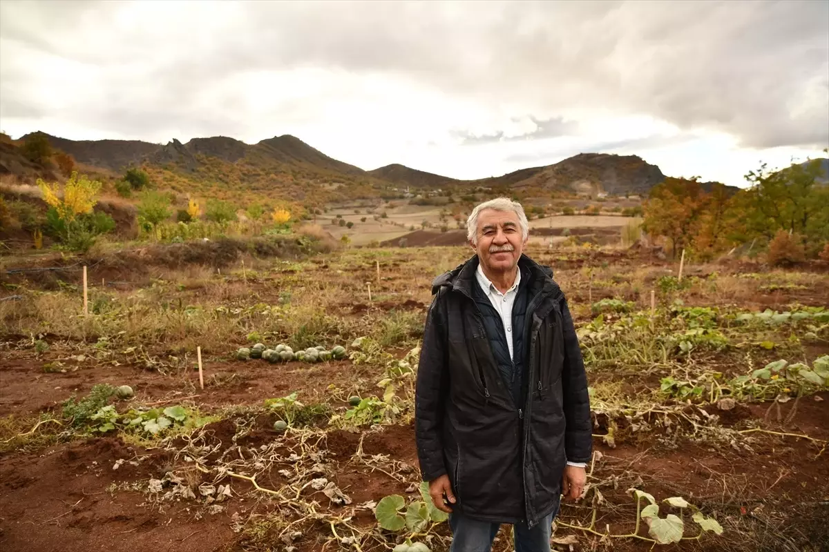 Fıstık Bahçesiyle Bölgeyi Canlandırıyor