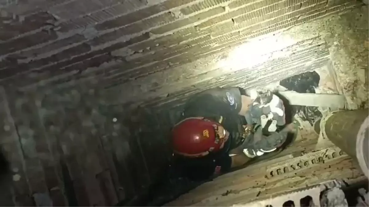 Bursa\'da Yavru Kedi Kurtarıldı