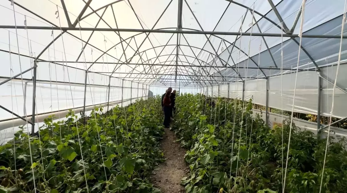 Hakkari\'de Köyler Yeniden Canlanıyor