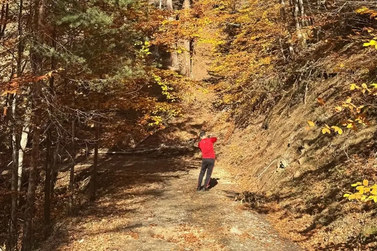 Vezirköprü\'de Cumhuriyet Bayramı Yürüyüşü