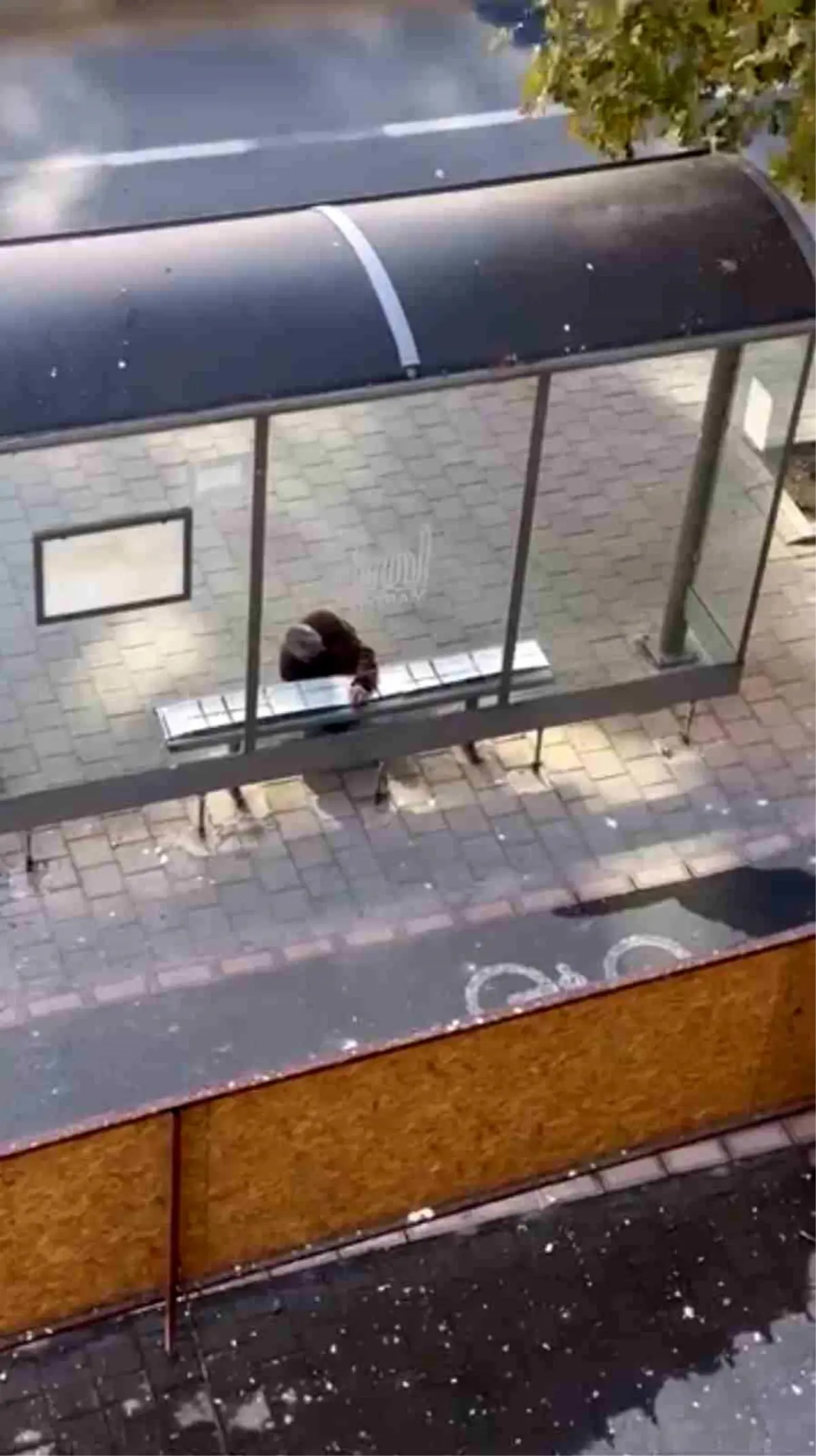 Midyat\'ta Duyarlı Vatandaş Soğuk Hava İçin Halı Koydu