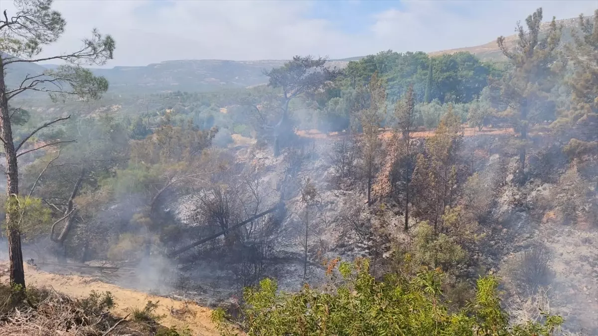 Gülnar\'da Bahçede Yangın: 70 Yaşındaki Adam Hayatını Kaybetti