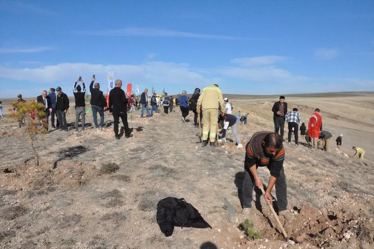 Orman gönüllüsü Bayram Eren Arslan adına hatıra ormanı oluşturuldu