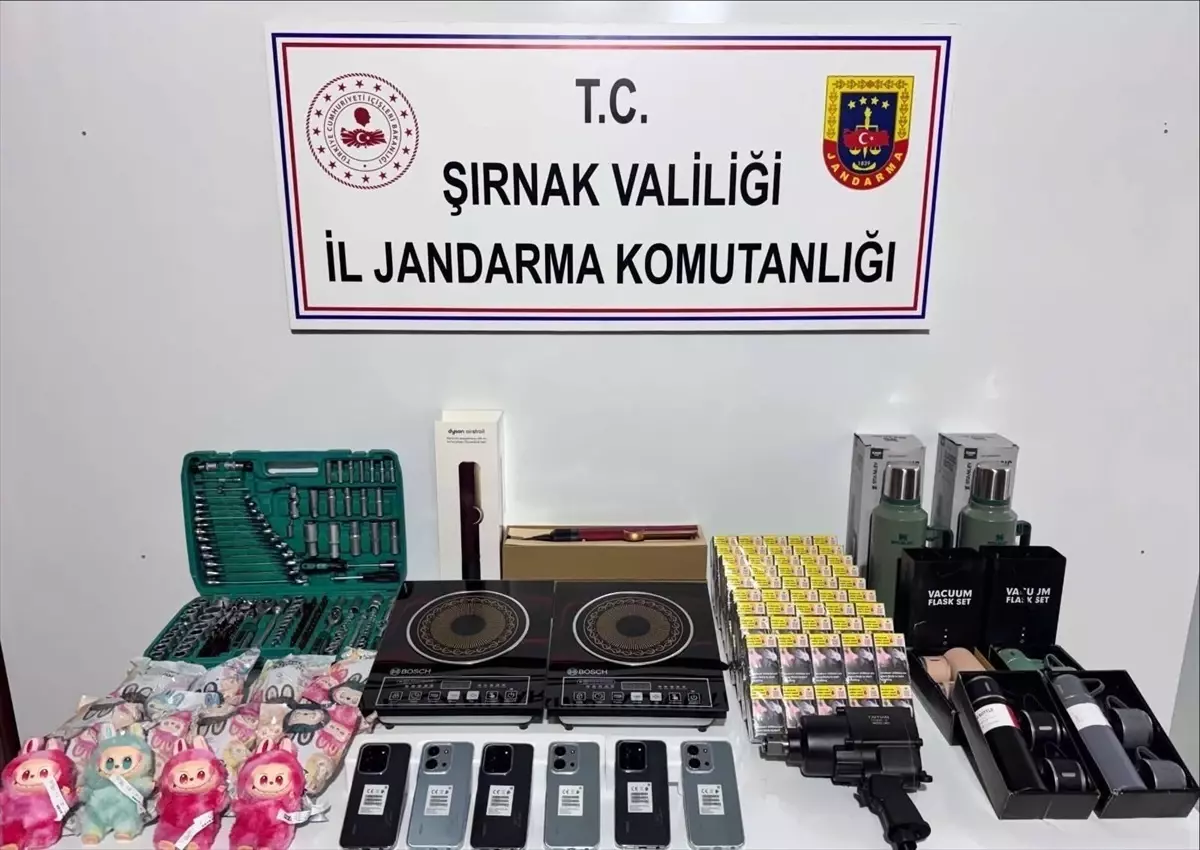 Şırnak\'ta Kaçakçılıkla Mücadele: 55 Gözaltı