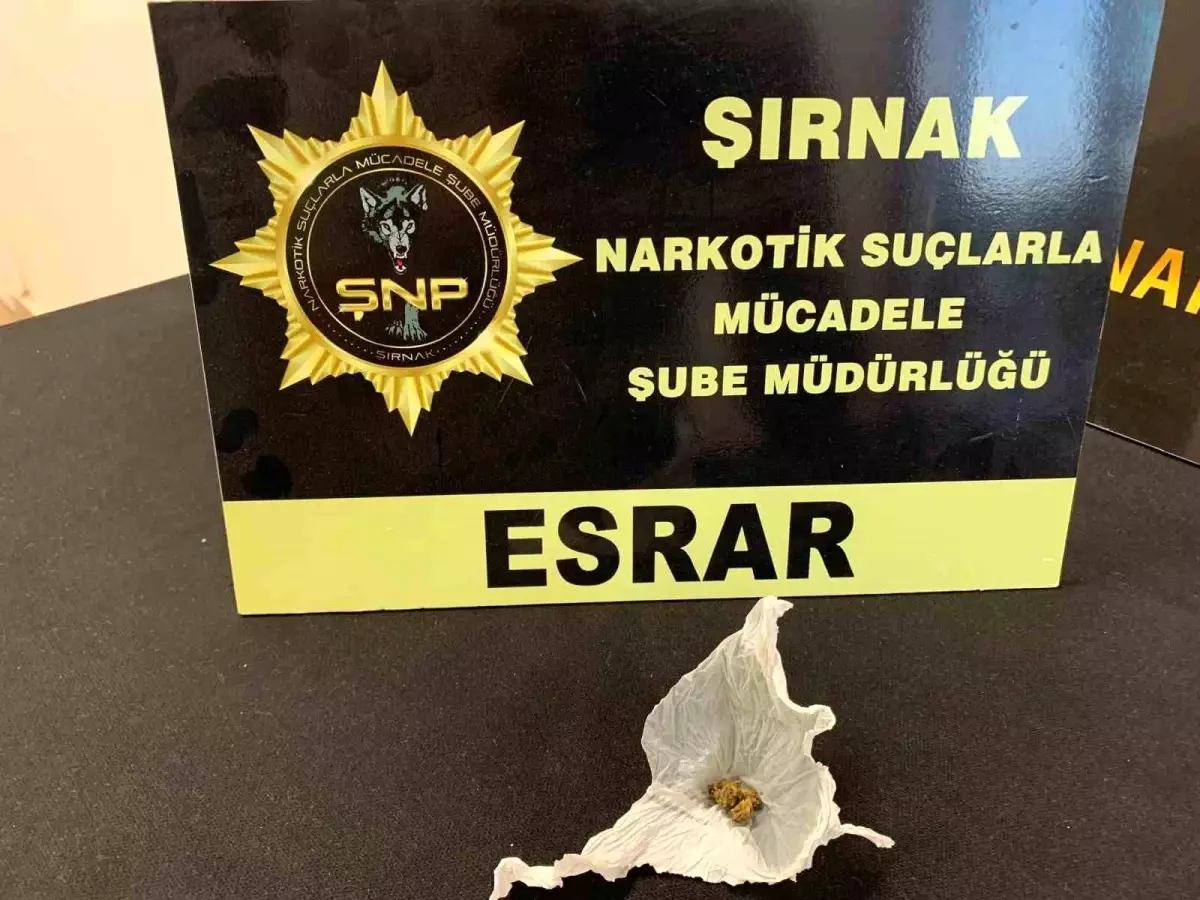 Şırnak\'ta Kaçakçılık Operasyonları