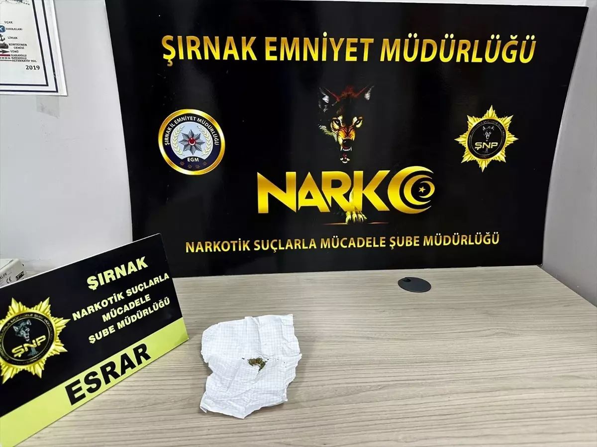 Şırnak\'ta Uyuşturucu Operasyonu: 52 Şüpheli Yakalandı