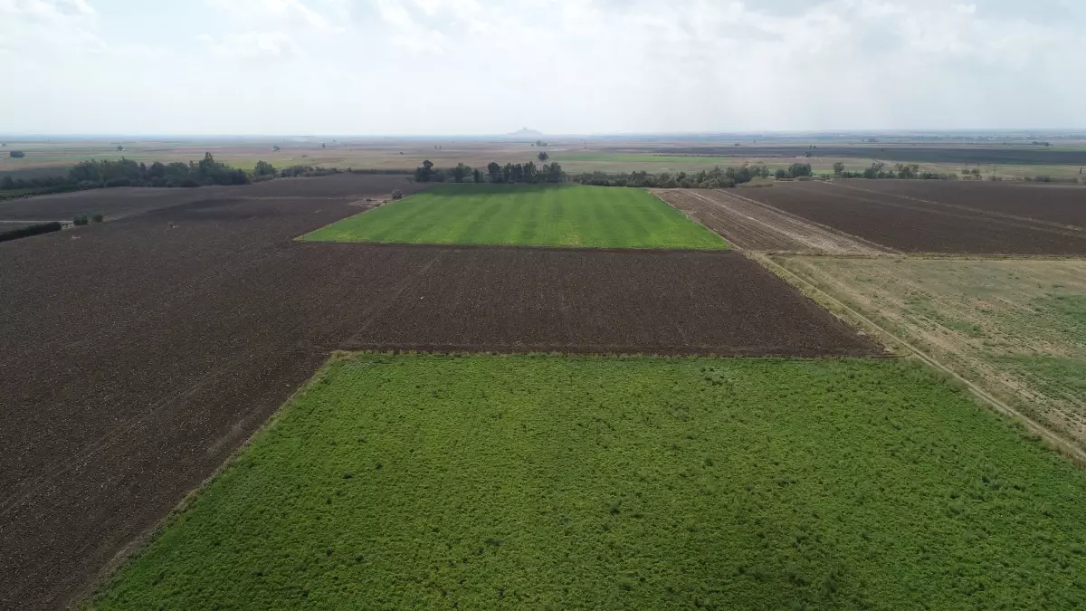 Modern Sulama Sistemleri Çiftçiyi Kurtarıyor