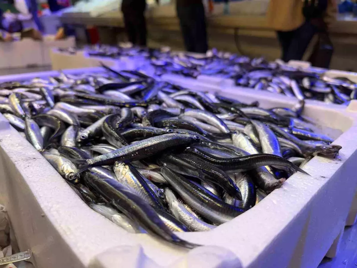 Erzincan\'da Balık Sezonu Açıldı