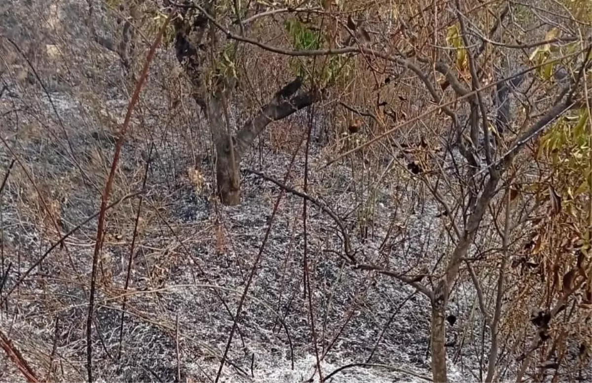 Mersin\'de Yangın Sonucu Yaşlı Adam Hayatını Kaybetti