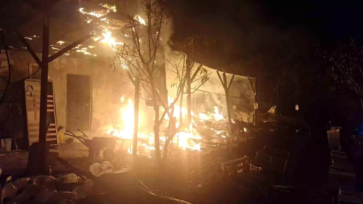 Bilecik\'te Arı Kovanlarını Korumak İçin Yangın Söndürüldü