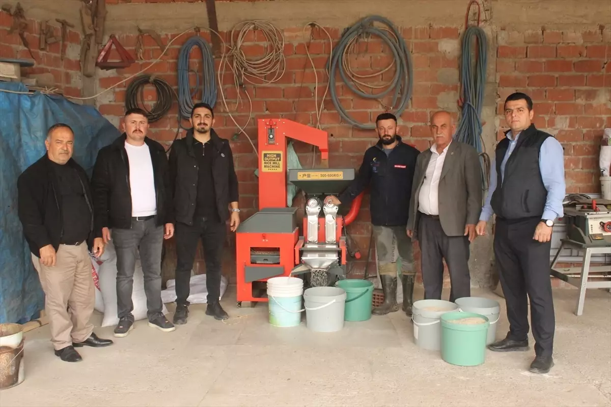 Bafra\'da Çeltik Pirince Dönüşüyor