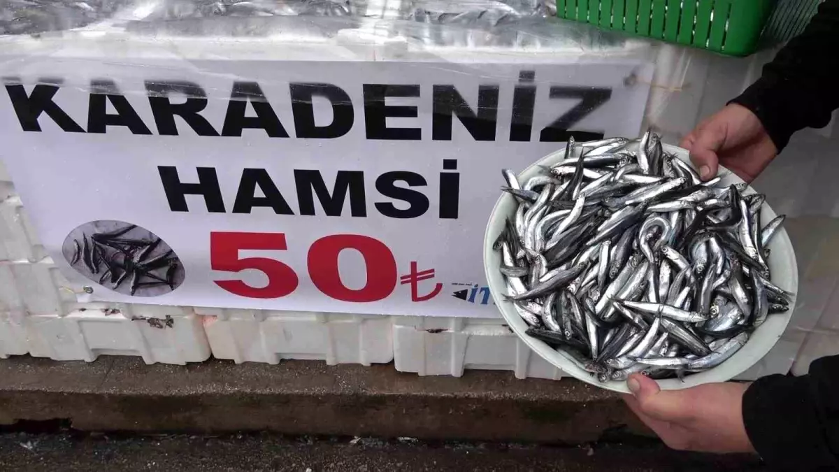 Amasya\'da Hamsi Fiyatı 50 TL