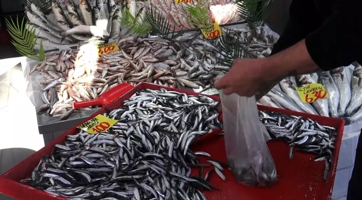 Çankırı\'da Hamsi Fiyatları Yüzleri Güldürüyor