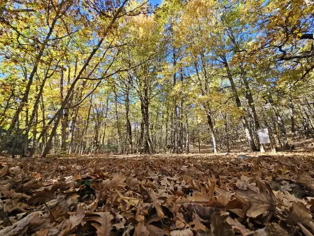 Dünyada bir tek Isparta'da var! İzinsiz girmenin cezası bir servet değerinde