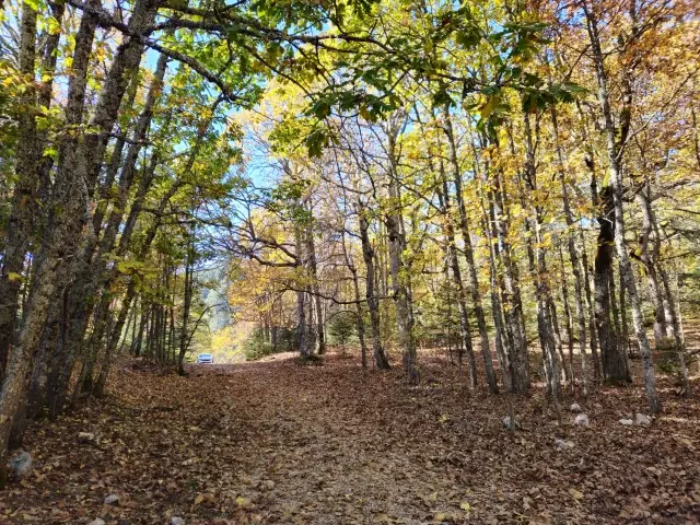 Dünyada bir tek Isparta'da var! İzinsiz girmenin cezası bir servet değerinde