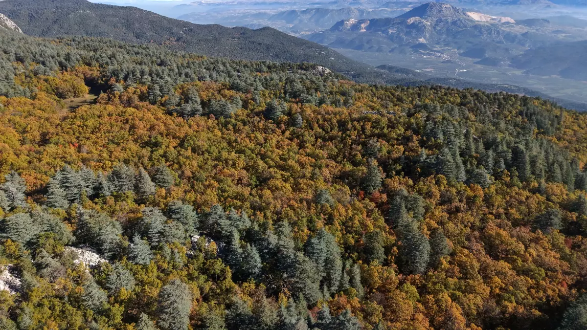 Dünyada bir tek Isparta\'da var! İzinsiz girmenin cezası bir servet değerinde