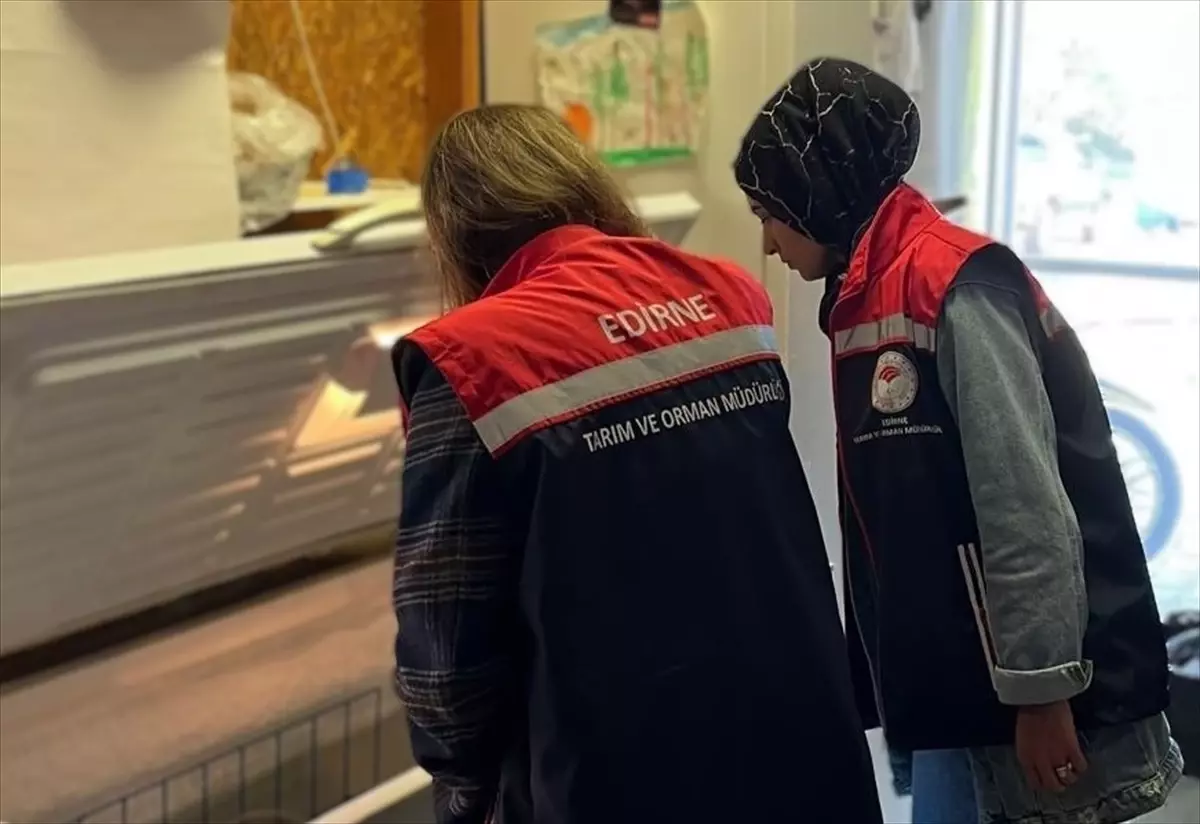 Edirne\'de Gıda Denetimleri Devam Ediyor