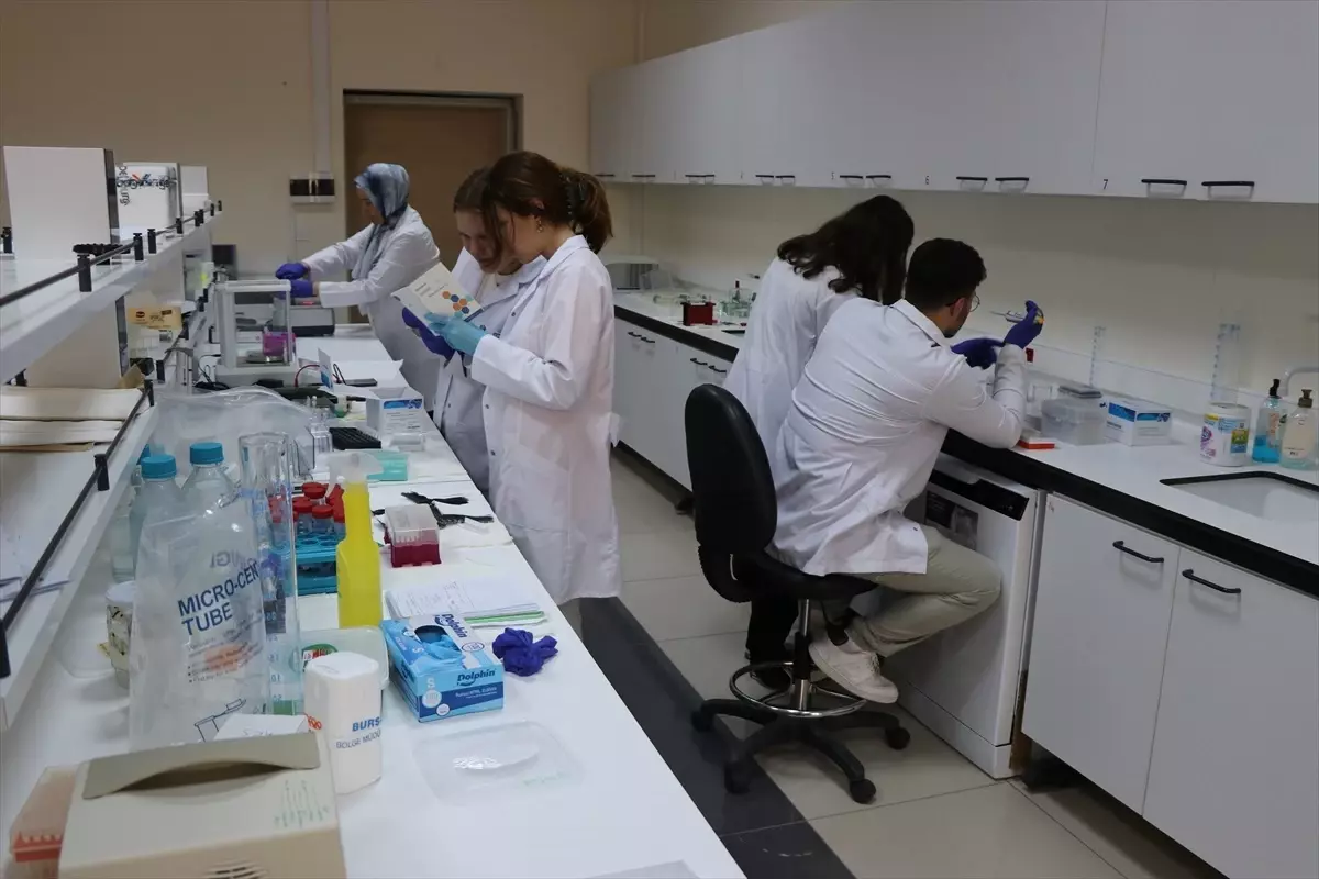 KSBÜ\'den Eklem Hastalıklarına Yanıt: Bor Türevli Çözüm