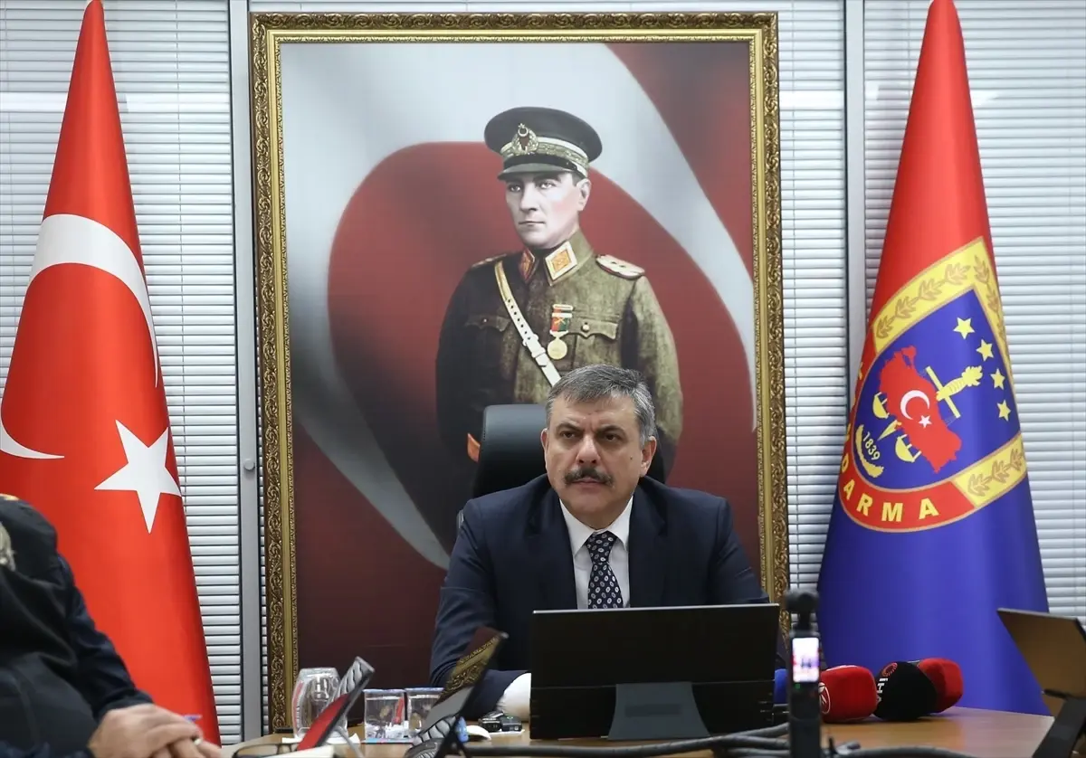 Erzurum\'da Sokak Hayvanları Sayısı Sıfırlandı