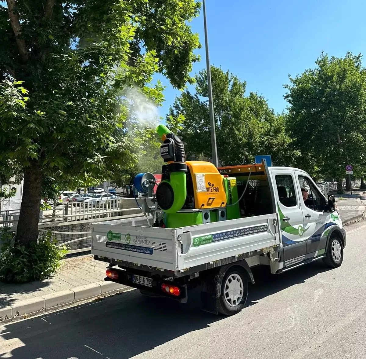 Gaziantep\'te Üvez Popülasyonuna Karşı İlaçlama Çalışmaları Artıyor